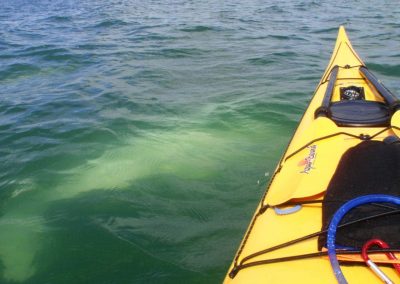 Kayak De Mer Kamouraska