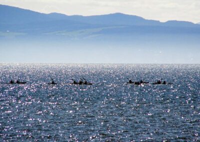 Kayak De Mer Kamouraska