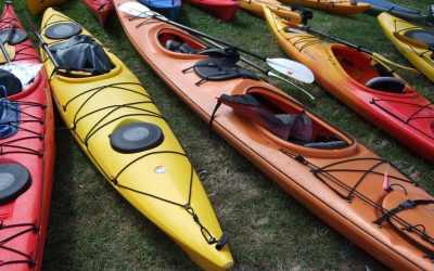 Offre d’emploi : Guide de kayak de mer