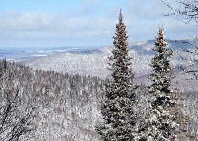 Ski Raquette Au Parc Régional Du Massif Du Sud