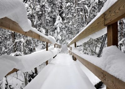 Ski Raquette Au Parc Régional Du Massif Du Sud
