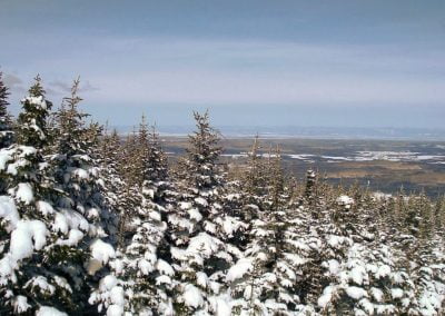 Ski-Raquette Parc Massif Du Sud