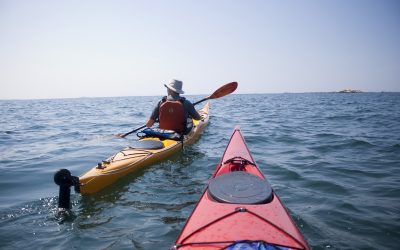 Les nouveautés de l’été