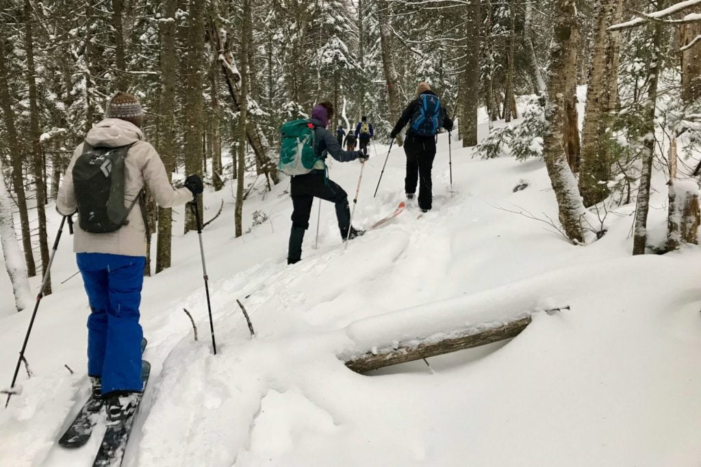 Ski Nordique Au Parc National De La Jacques-Cartier