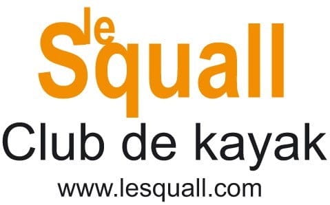 logo squall